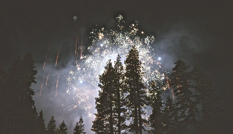 feux d'artifice dans le jardin
