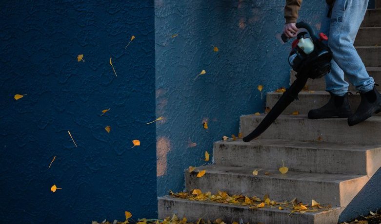 souffleur de feuilles